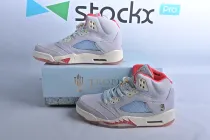 Air Jordan 5 Retro  Trophy Room  CI1899-400