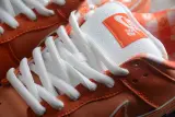 Concepts x Nike SB Dunk Low FD8776-800
