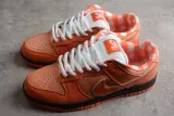 Concepts x Nike SB Dunk Low FD8776-800