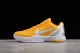 Nike Kobe VI Protro 6(SP batch) 454142-700