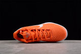 Nike Kobe VI Protro 6(SP batch) 454142-800