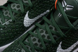 Nike Kobe VI Protro 6(SP batch) 454142-300