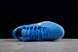 Nike Kobe VI Protro 6(SP batch) 454142-004
