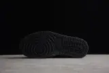 Jordan 1 Retro High OG Twist 2.0 (W) DZ2523-001