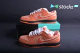 Concepts x Nike SB Dunk Low FD8776-800