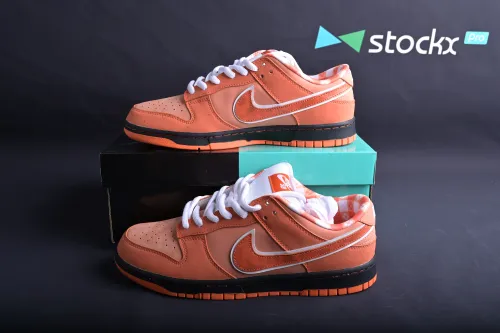 Concepts x Nike SB Dunk Low FD8776-800
