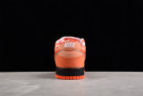 Concepts x Nike SB Dunk Low(SP batch)FD8776-800