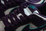 Nike SB Dunk Low  Chenille Swoosh  DQ7683-100