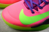 Nike Kobe 8 Mambacurial(SP batch)615315-500