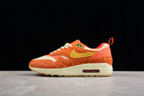 Nike Air Max 1 PRM Somos Familia DZ5352-847
