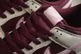Nike Dunk Low DR9705-100