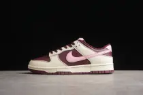 Nike Dunk Low DR9705-100