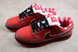 Nike SB Dunk Low Concepts Red Lobster(SP batch)313170-661