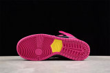 Run The Jewels x Nike SB Dunk Low DX4356-600