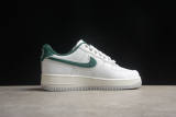 Division Street x Nike Air Force 1'07 Low  Ducks of a Feather  HF0012-100