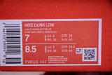 Nike SB Dunk Low Retro  Sail and Polar Blue (SP batch)FV8113-141