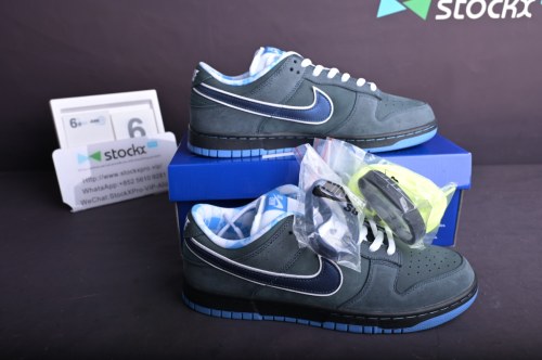 Nike SB Dunk Low Concepts Blue Lobster(SP batch)313170-342