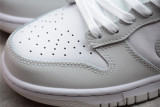 Nike Dunk Low Photon Dust DD1503-103 (DKGREYFO)