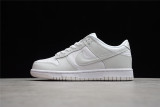 Nike Dunk Low Photon Dust DD1503-103 (DKGREYFO)