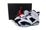 Jordan 6 Retro Oreo (SP Batch) 384664-101