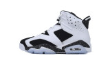 Jordan 6 Retro Oreo (SP Batch) 384664-101