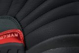 Air Jordan 12 Retro 'Bloodline' CT8013-003