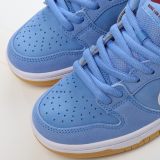 SS TOP Nike SB Zoom Dunk Low DQ4040-400