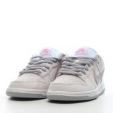 SS TOP Nike SB Zoom Dunk Low Pro IW  895969-160