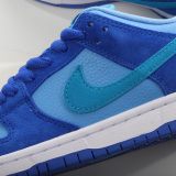 SS TOP  Nike SB Dunk Low Pro  Blue Raspberry  DM0807-400