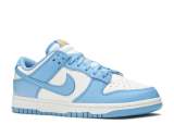 Free Shipping SS TOP DUNK LOW 'COAST' DD1503-100