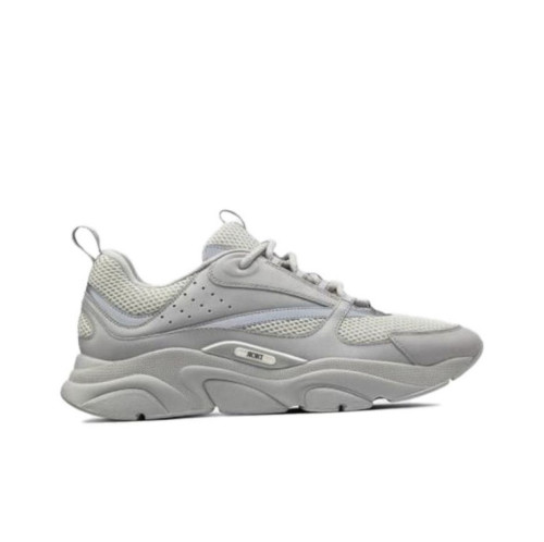 Di*r B22 grey 3SN231YKA_H804