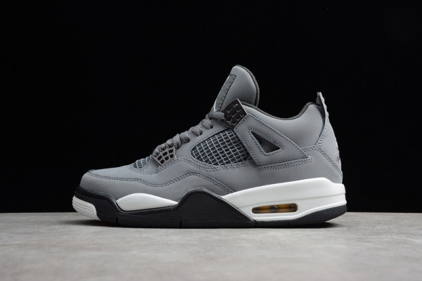 Air Jordan 4 Cool Grey 308497-007