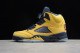 Air Jordan 5 Michigan CQ9541-704