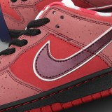 MS BATCH Concepts x Nike Dunk Low Premium SB  Red Lobster  313170-661