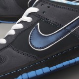 MS BATCH Concepts x Nike Dunk Low Premium SB  Blue Lobster  313170-342