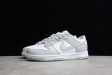 Dunk Low Grey Fog DD1391-103