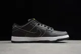 Civilist x SB Dunk Low Pro Thermography CZ5123-001