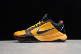 Kobe 5 Protro Bruce Lee 386429-701