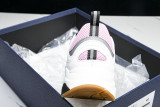 DIOR B22 SNEAKER Pink 3SN231ZNG_H969