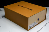 LV ARCH LICHT Sneaker Coffen AE5U3BMI61N355