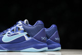 Kobe 5 Protro X-Ray HJ4303-400