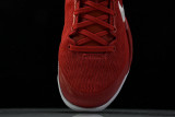 Kobe 8 Protro University Red HF9550-600