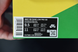 Nike Dunk SB Low Pro QS Parra (Friends & Family) (2021)  DH7695-100