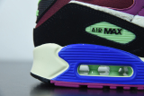Nike Air Max 90 Cactus Flower Dark Beetroot (W) CT1891-500