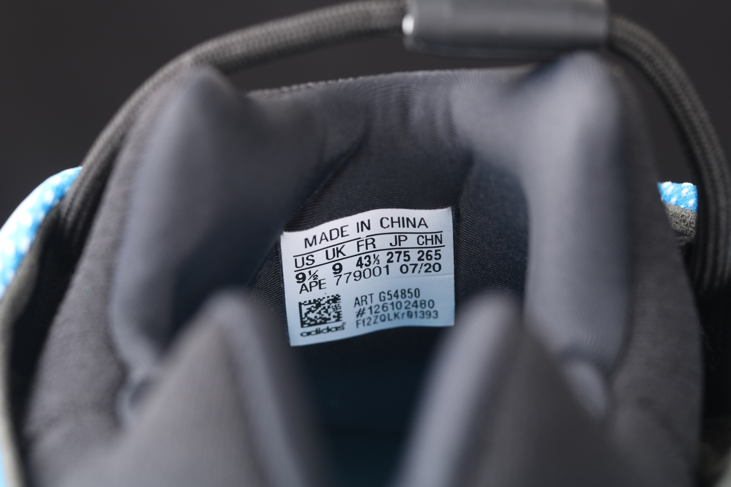 adidas Yeezy 700 V3 Arzareth G54850