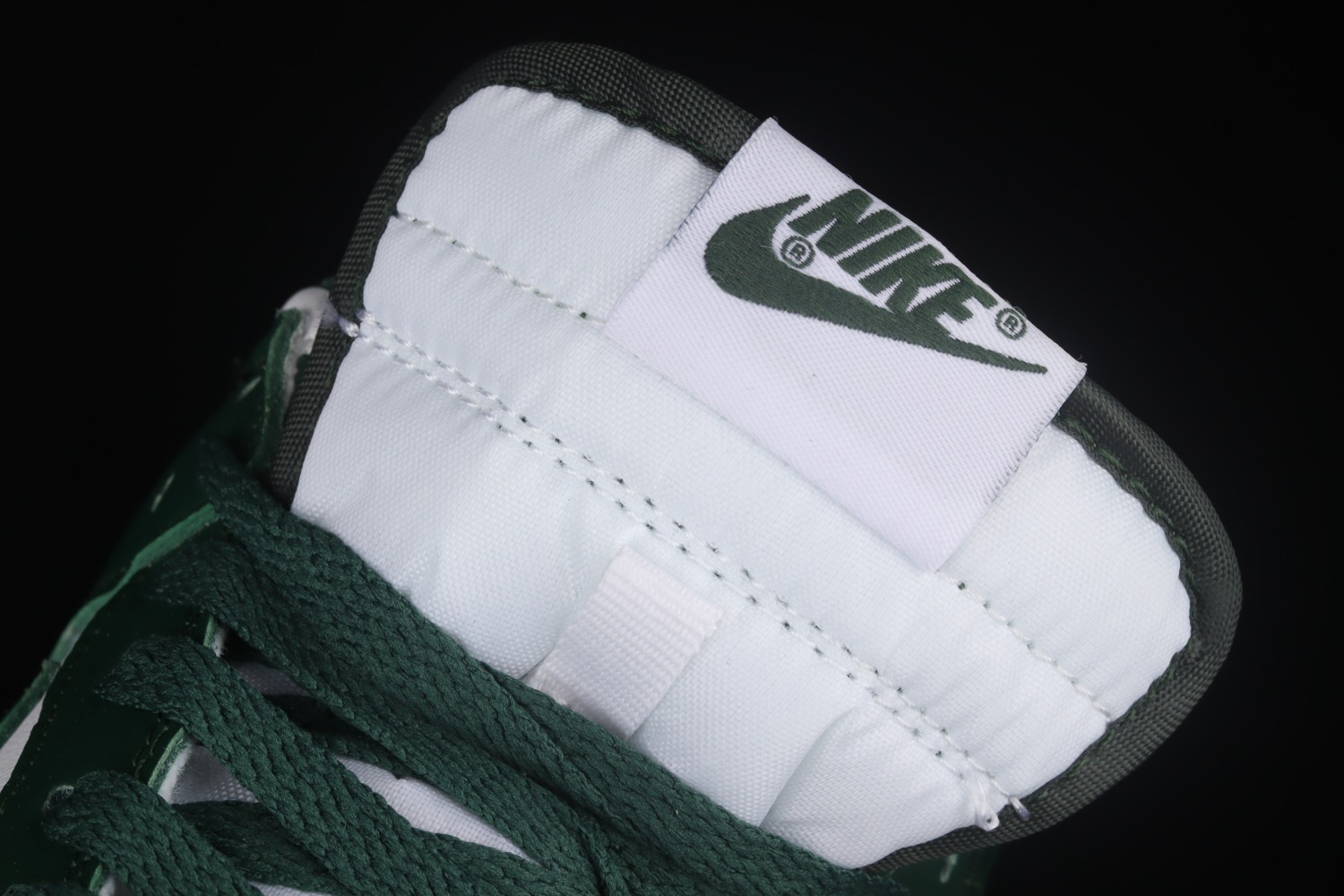 Nike Dunk Low Michigan State DD1391-101