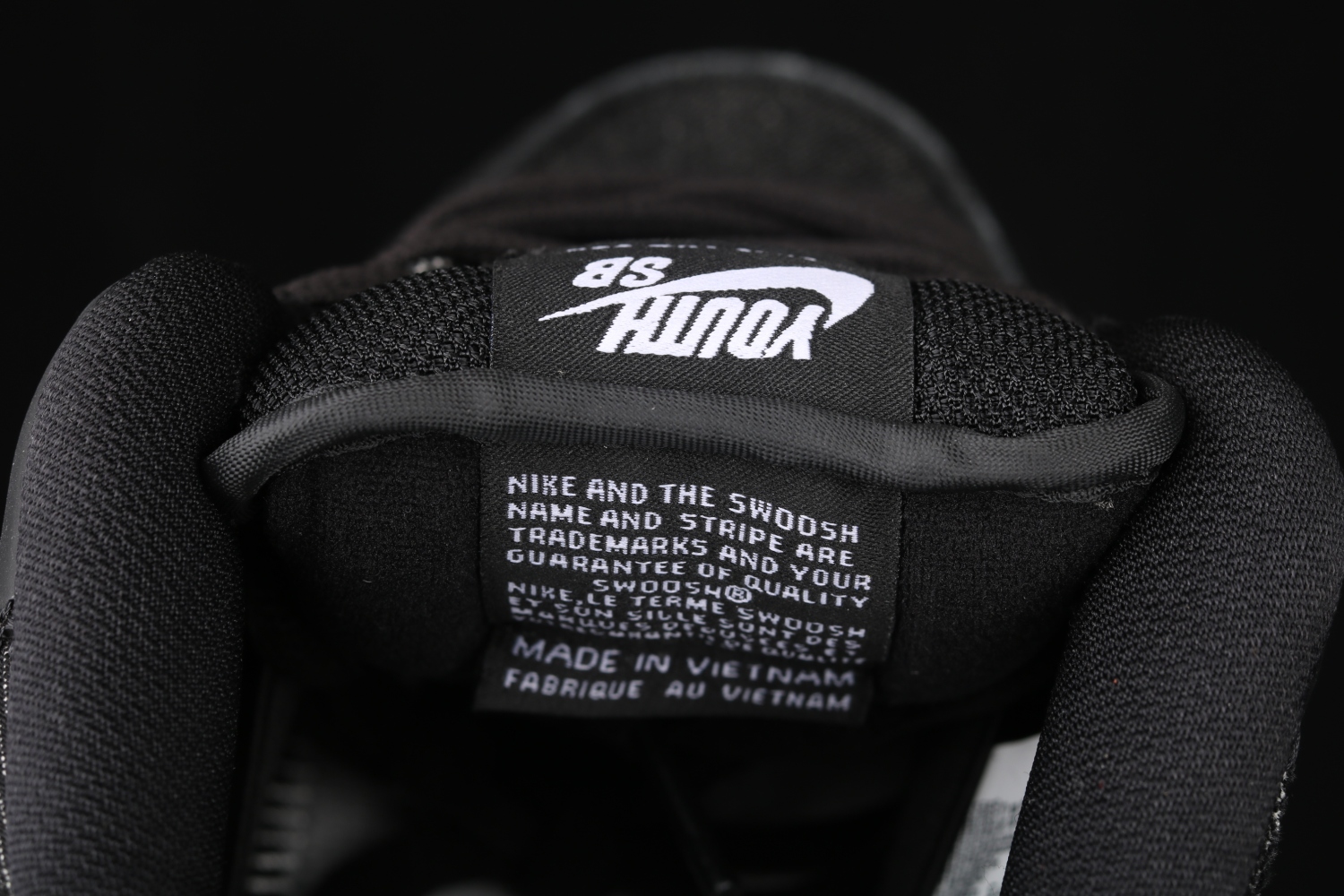 Nike SB Dunk Low Wasted Youth DD8386-001