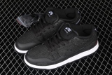 Nike SB Dunk Low Wasted Youth DD8386-001