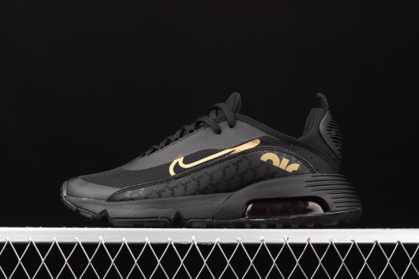 Air Max 2090 'Black Metallic Gold' DC4120-001