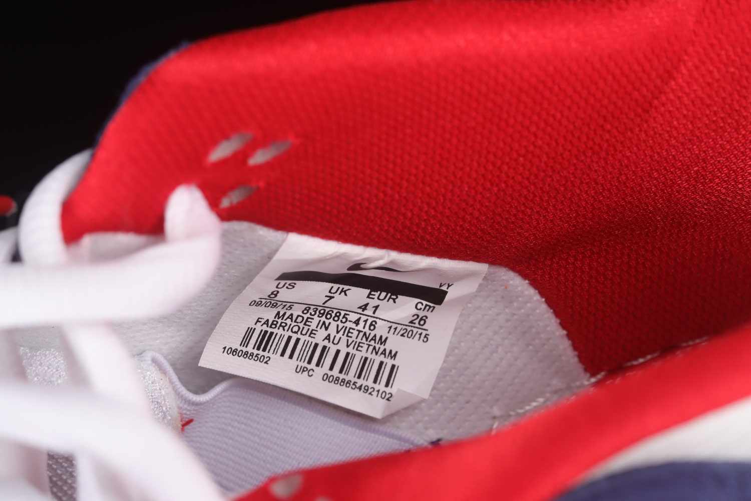 Nike Dunk SB Low Ishod Wair  BMW  839685-416